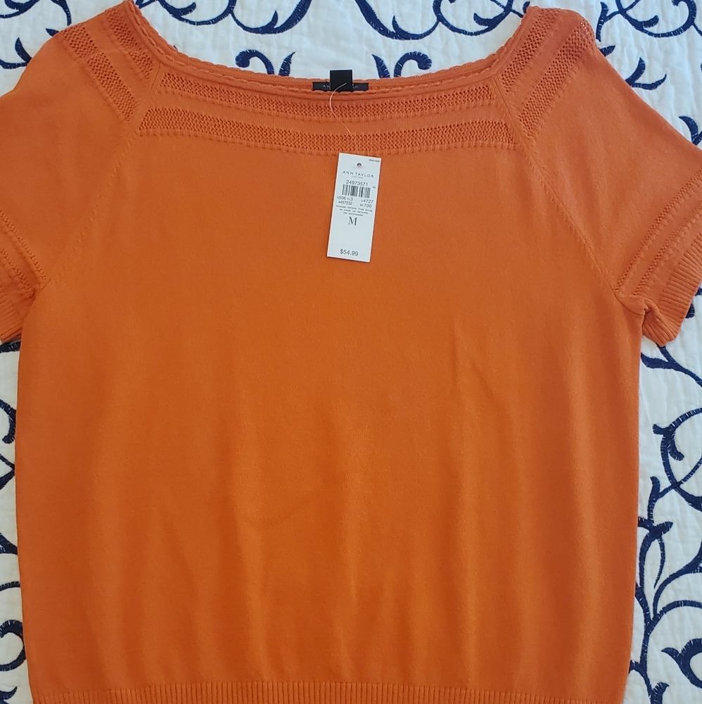 Cotton top